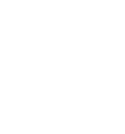 Willow logo white